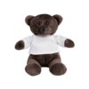 BEAR. Plush Teddy bear in a t-shirt