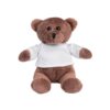 BEAR. Plush Teddy bear in a t-shirt