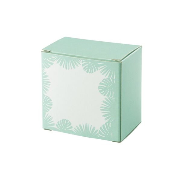 TRICERATOPS. 20 piece memory game