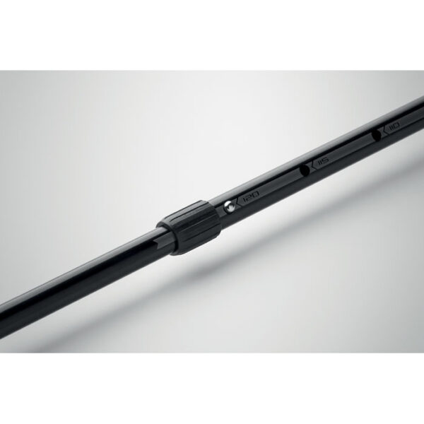 mo2951-03-ambiant NOLE ONE