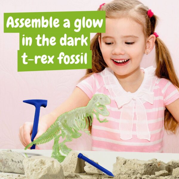 Fossil Excavation Kit I. Educational game for children