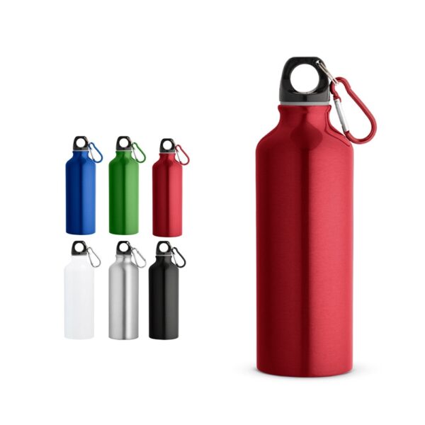 54623_set RE-LANDSCAPE M. Recycled aluminium (100% rAL) bottle with carabiner 530 mL