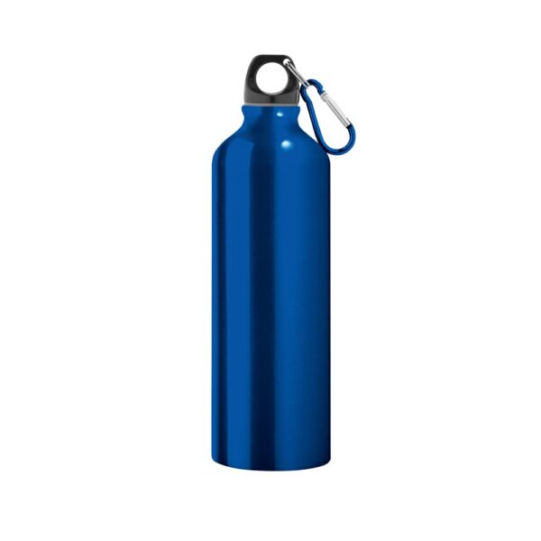 LANDSCAPE L. Aluminium sports bottle with carabiner 800 mL