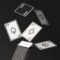 HAZ321A-5 BOSS Playing cards 2 decks Iconic Black