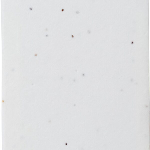 Paper sticky notes seed paper Patricia