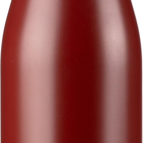 Recycled stainless steel bottle Aline