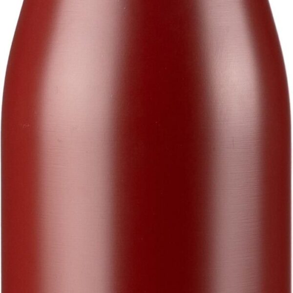 Recycled stainless steel bottle Aline