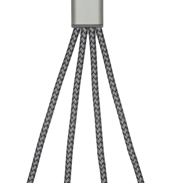 BrandCharger Trident 2 charging cable