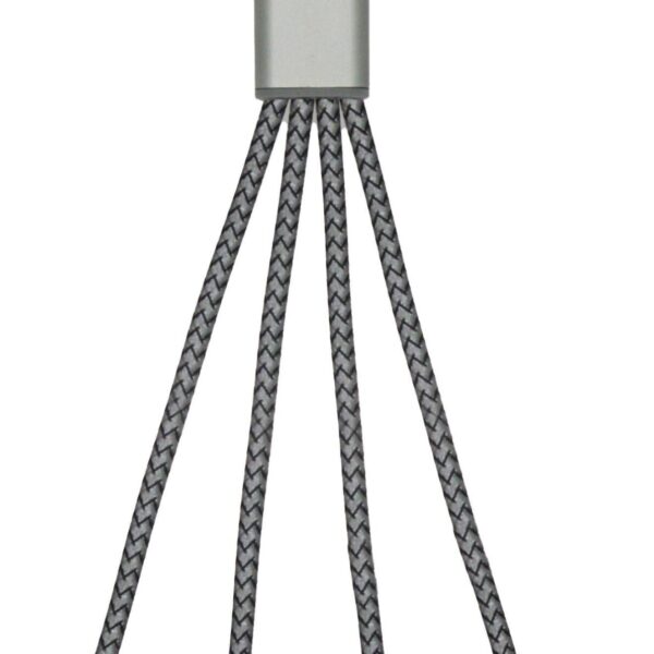 BrandCharger Trident 2 charging cable