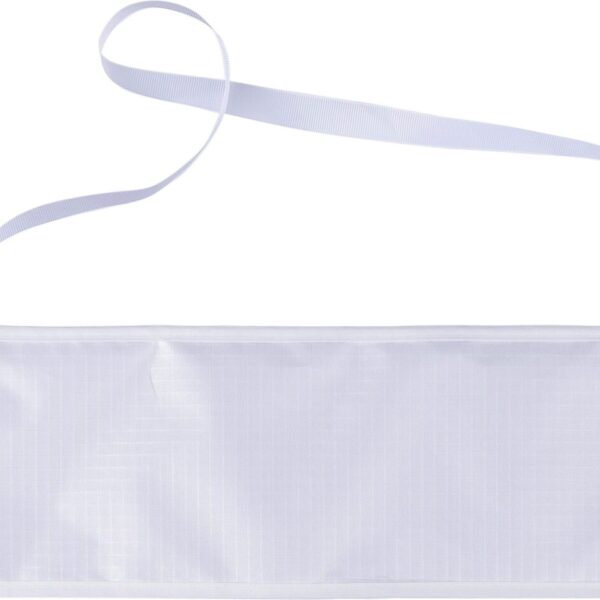 Polyester (210T) delta kite Lirien