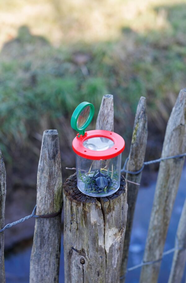 impr_1510823 Magnify jar Sunlit