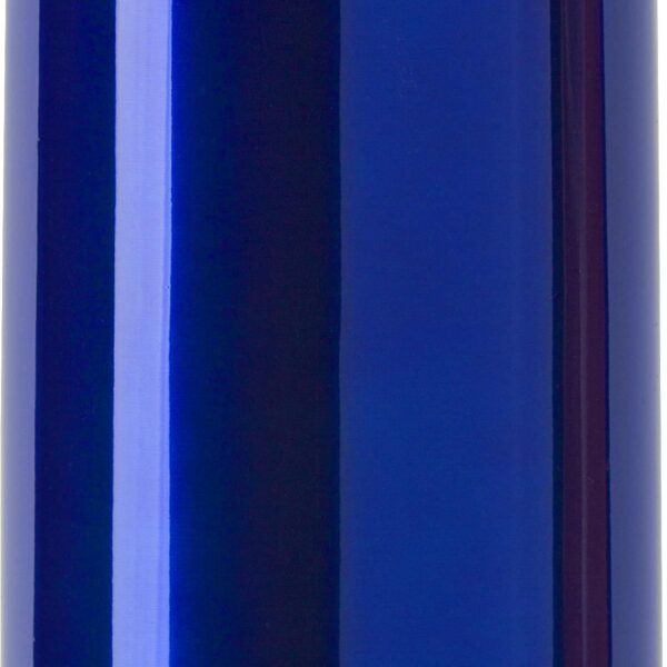 Stainless steel double walled flask Quentin