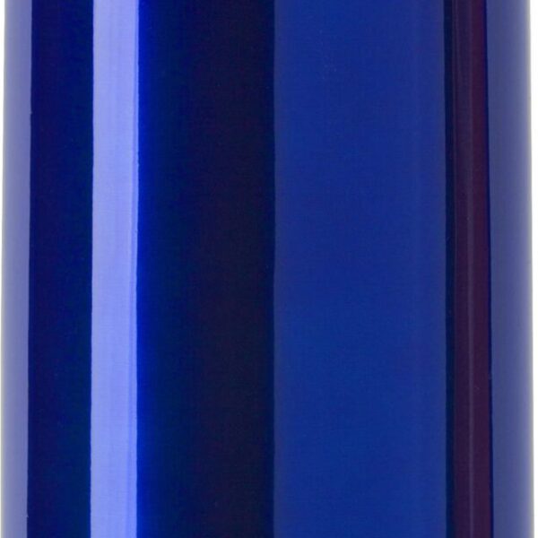 Stainless steel double walled flask Quentin