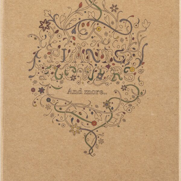 Cardboard drawing set Kora