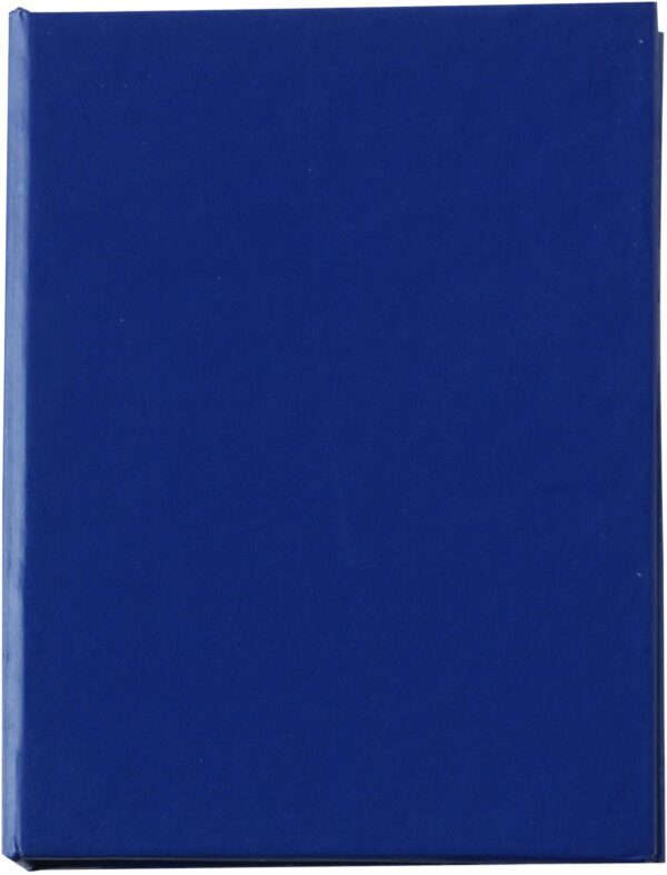 Cardboard holder with sticky notes Duke