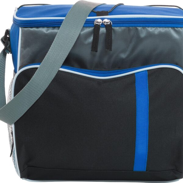Polyester (600D) cooler bag Ravi