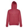 11179_195-d THC AMSTERDAM II. Men's hoodie in cotton and polyester with full zip