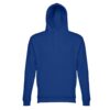 30160_114-d THC PHOENIX. Hooded sweatshirt (unisex) in cotton and polyester