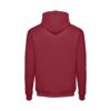 30160_115-b THC PHOENIX. Hooded sweatshirt (unisex) in cotton and polyester