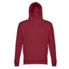 30160_115-d THC PHOENIX. Hooded sweatshirt (unisex) in cotton and polyester
