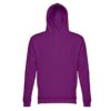 30160_132-d THC PHOENIX. Hooded sweatshirt (unisex) in cotton and polyester