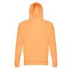 30160_178-d THC PHOENIX. Hooded sweatshirt (unisex) in cotton and polyester