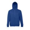 30161_114-d THC AMSTERDAM. Men's hoodie in cotton and polyester with full zip