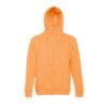 30161_178-d THC AMSTERDAM. Men's hoodie in cotton and polyester with full zip