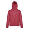 30161_195-d THC AMSTERDAM. Men's hoodie in cotton and polyester with full zip