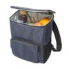 BOSTON COOLER. 2 Tone Nylon insulated backpack 14 L