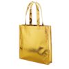 92850_117 SAWGRASS. Laminated non-woven bag (90 g/m²)