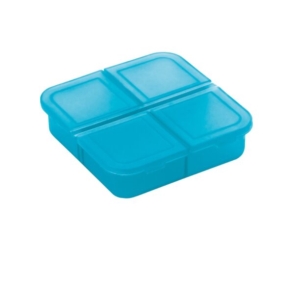 94306_124 ROBERTS. Pill box with 4 dividers
