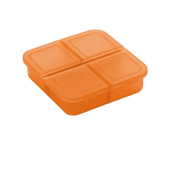 94306_128 ROBERTS. Pill box with 4 dividers