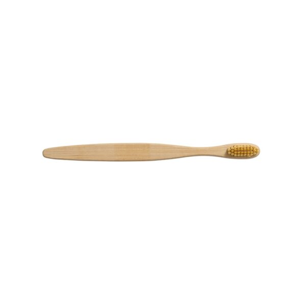 DELANY. Toothbrush with bamboo body and nylon bristles
