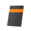 96114_128 ALLENDE B5. B5 Diary