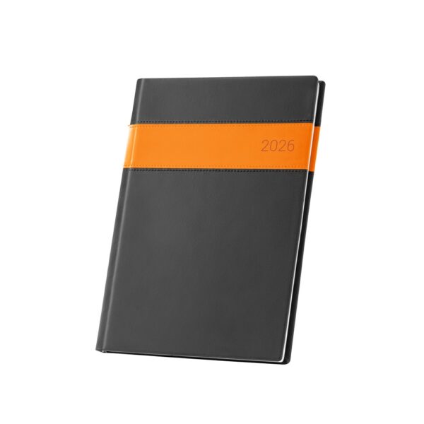 96114_128 ALLENDE B5. B5 Diary