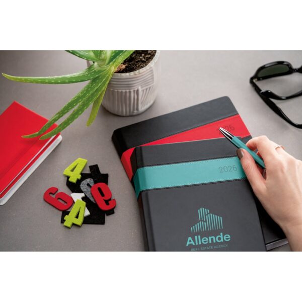 96114_amb ALLENDE B5. B5 Diary