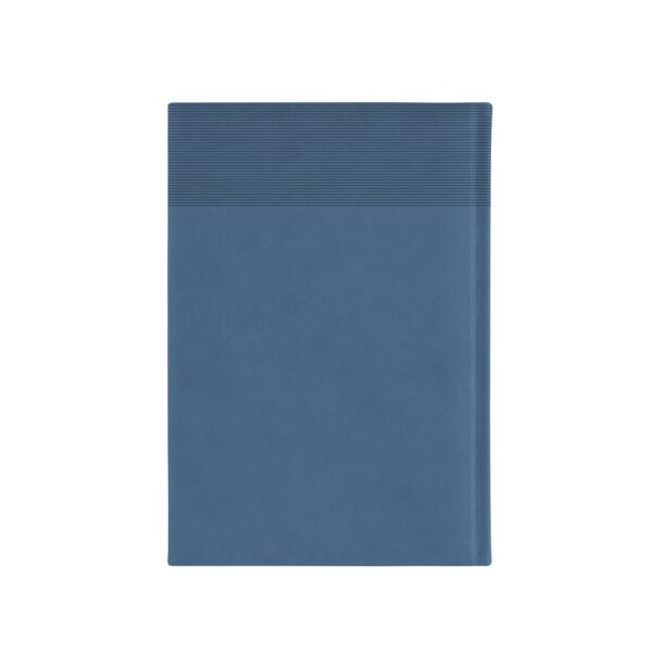 96193_104-b CARROLL A5. A5 Diary