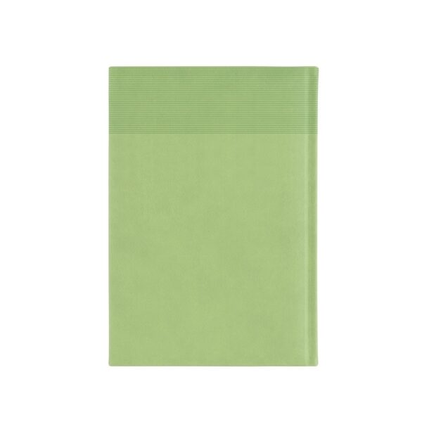 96193_119-b CARROLL A5. A5 Diary