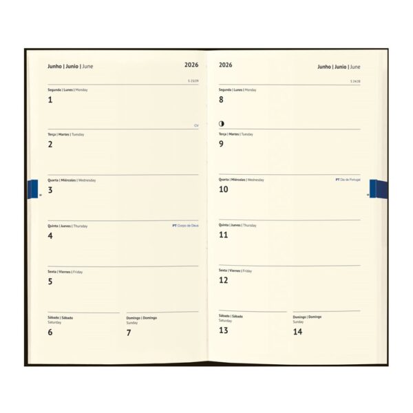 96198_c POMAR POCKET. Cork diary