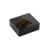97954_103-box VIBE. ABS wireless earphones with BT 5'0 transmission