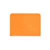 98409_128-c IZMIR. Cooler bag 3 L in non-woven (80 g/m²)