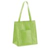 98410_119 ROTTERDAM. Non-woven Cooler bag (80 g/m²)