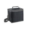 98418_103 SINGAPORE. Cooler bag 9 L in 600D polyester