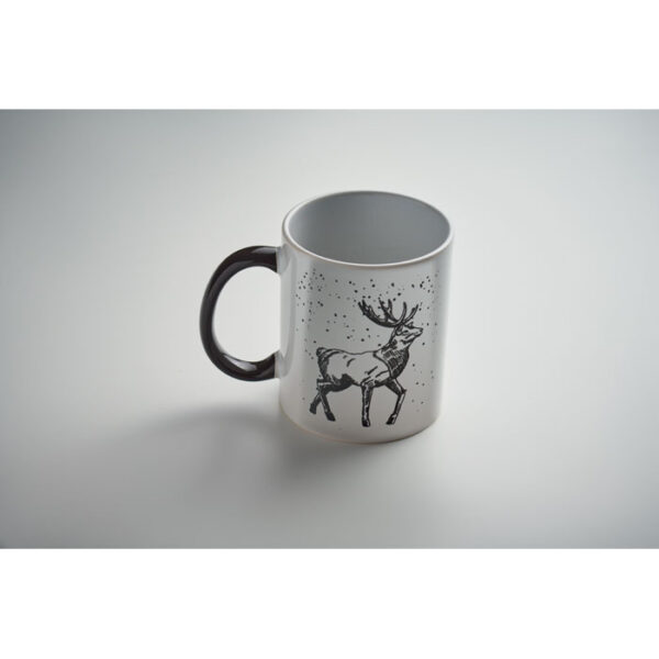 FESTIMUG
