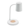 mo2124-06-back SPOT