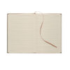 mo2663-01-open TINTRAY