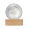 GLOBE LIGHT