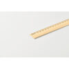 RULER20