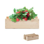 mo6506-40.jpg STRAWBERRY